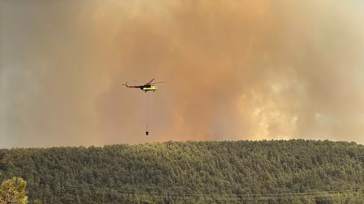 alanyada orman yangini mahalle bosaltildi t4egF8Cq