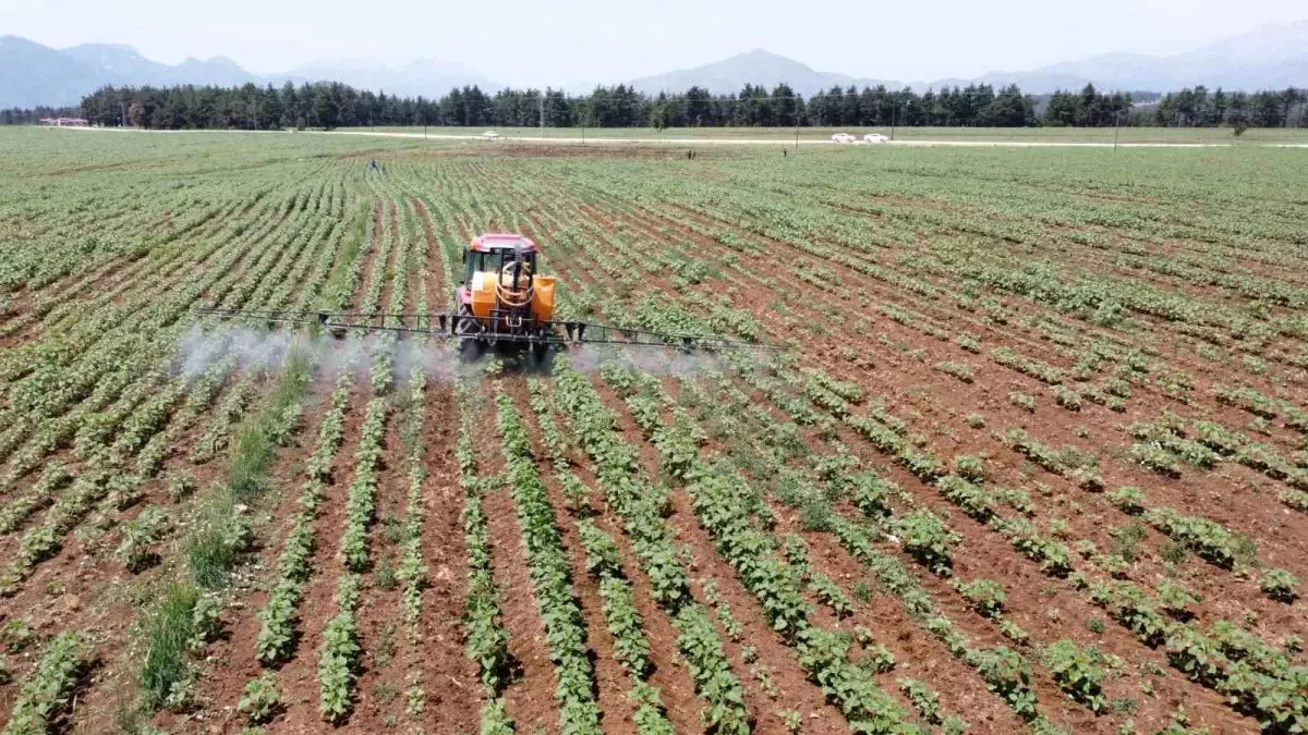 elita gida surdurulebilir tarimda basari elde etti qReEB2QC