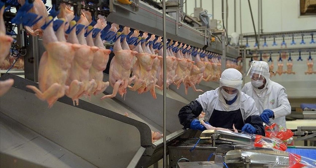 rekabet kurulundan unlu et markalarina 37 milyar tl ceza gu7r98ZM