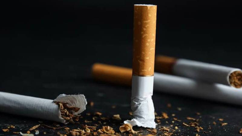 turkiyede her 2 erkekten ve her 4 kadindan biri sigara iciyor Q8slxqNN