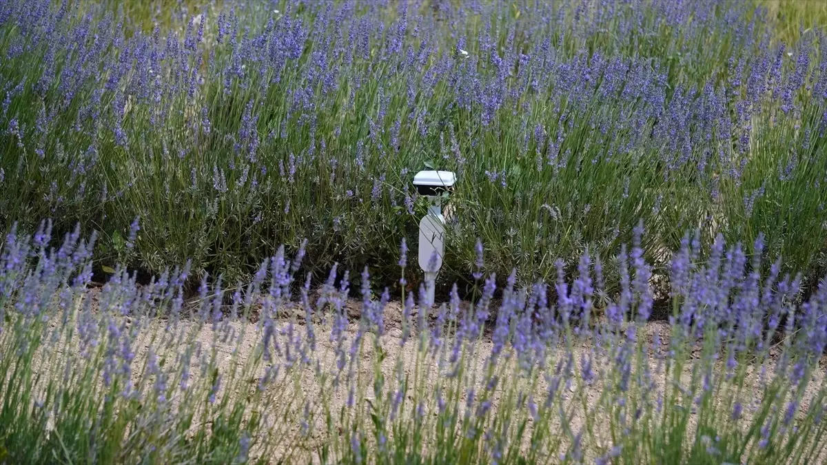 turkiyede ilk leo uydu iletisim yetkilendirmesi vDPc3GWd