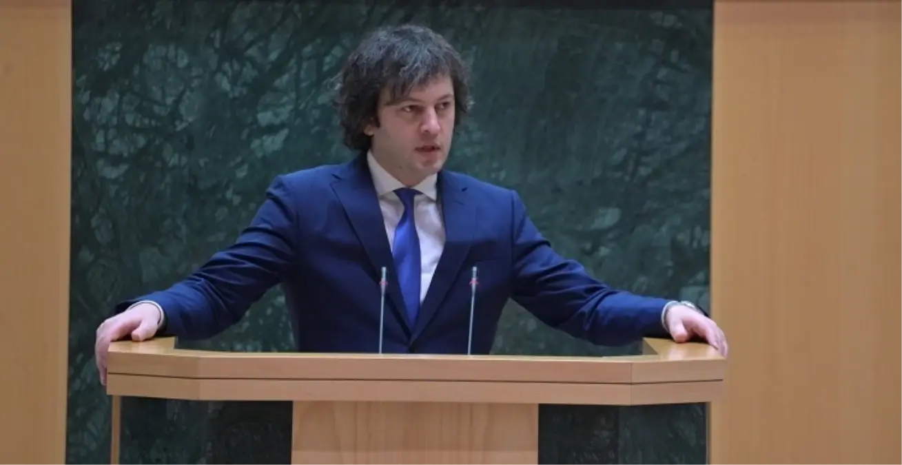 gurcistan basbakani yerel secim gosterileri hukumeti devirmek icin duzenlendi XOLyNeAX