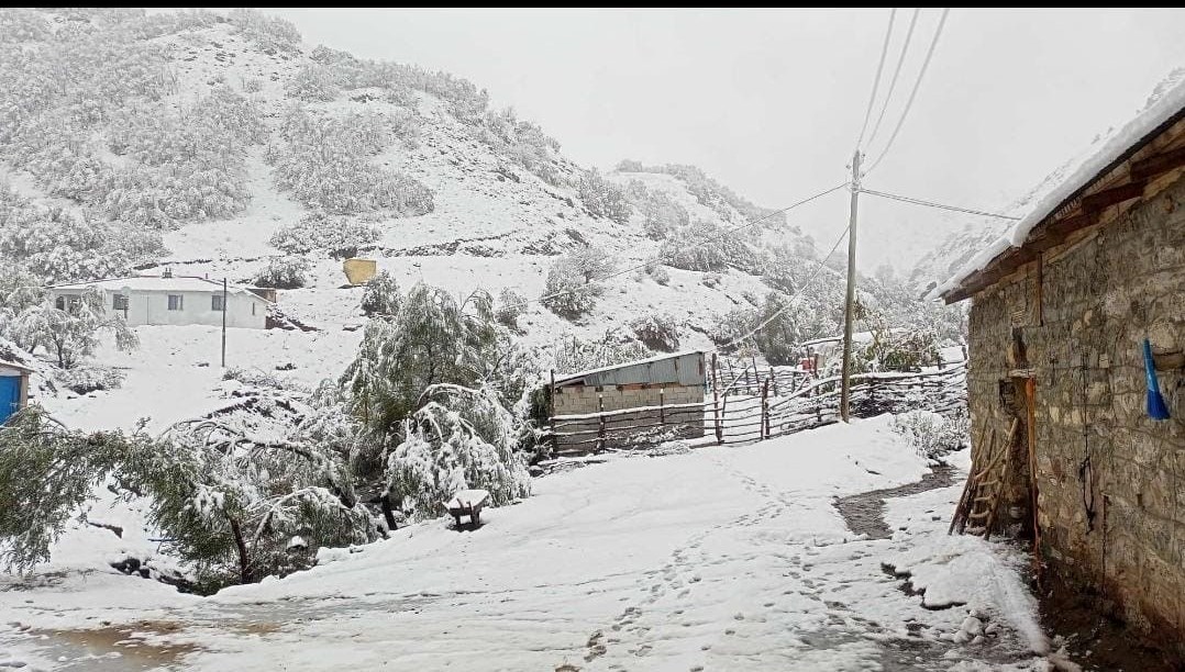 hasadi yapilmayan ceviz kar altinda kaldi ATXtCtuw.jpg