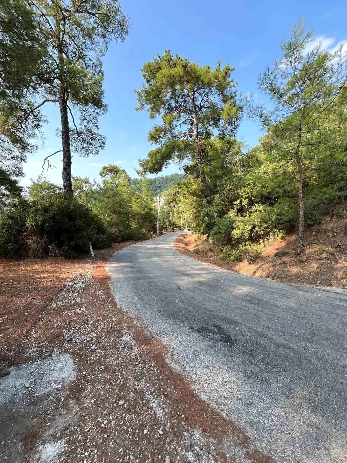 marmariste yangin onleme calismalari yayginlasirken ieaT8TWE