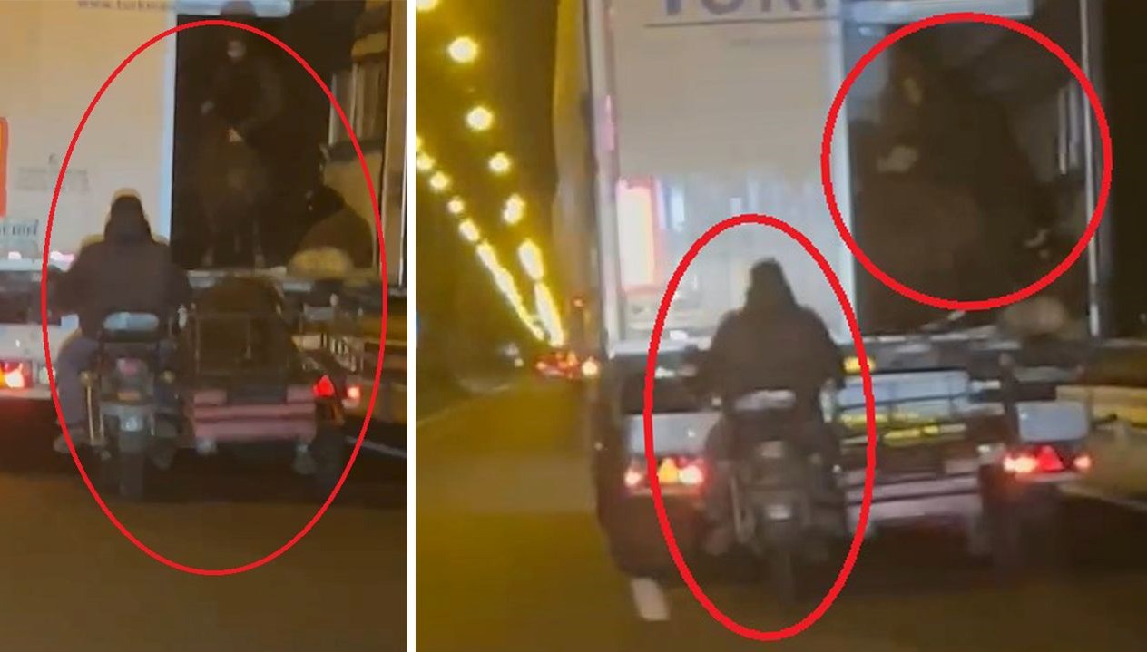 yoldaki tirdan koyun caldilar kaza yapinca hayvanlari birakip kactilar qTyZwmDj.jpg