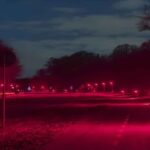 Kopenhag’da Sokak Aydınlatmasında Kırmızı Devrim: Yarasalar İçin Özel Çözüm