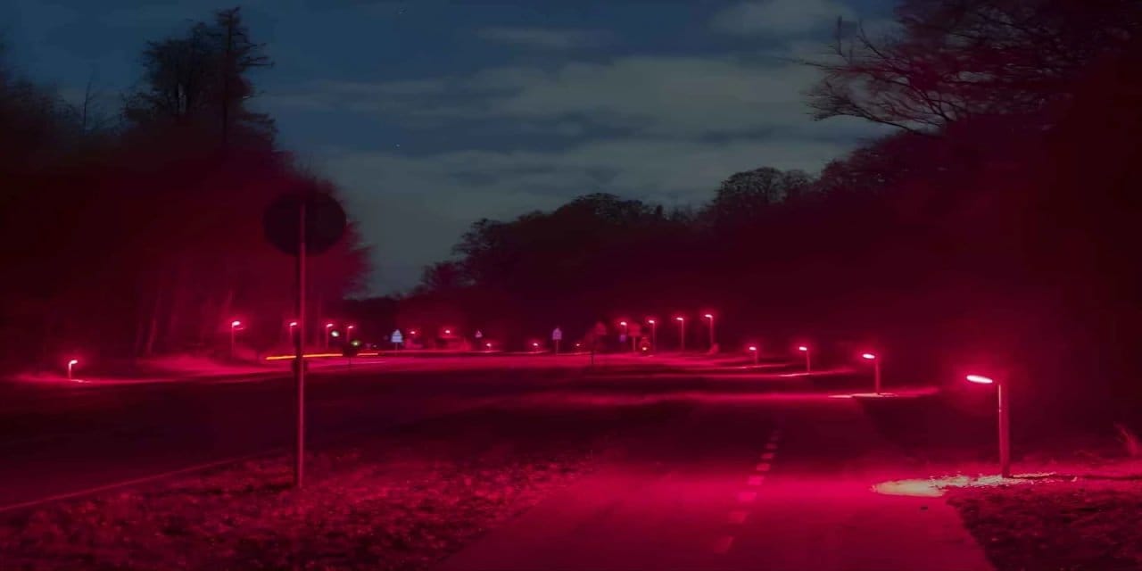 Kopenhag’da Sokak Aydınlatmasında Kırmızı Devrim: Yarasalar İçin Özel Çözüm