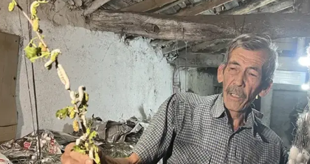 6 yıldır evinin altında üretiyor: 40 günde 216 bin TL kazanıyor